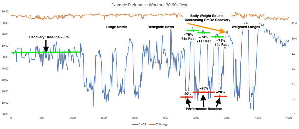 Endurance Workout Example 1 - body weight squats