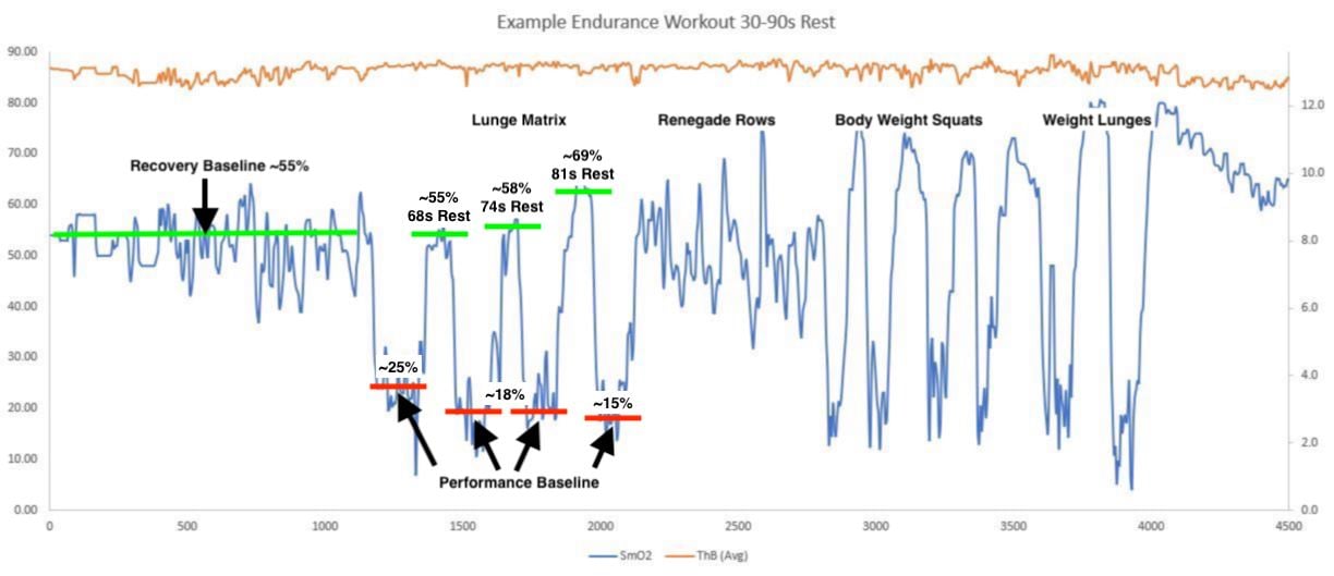 Endurance Workout Example 1 - lunge matrix