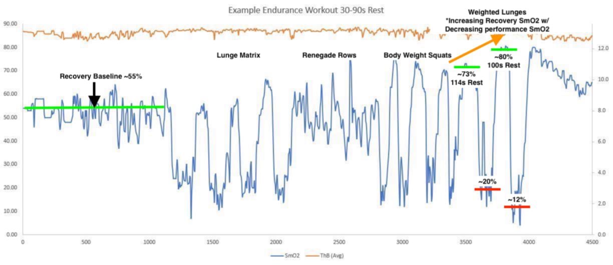 Endurance Workout Example 1 - weighted lunges